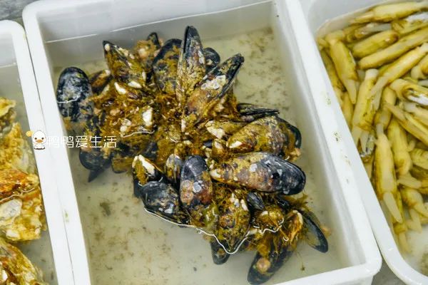 <html>
<head><title>502BadGateway</title></head>
<body>
<center><h1>502BadGateway</h1></center>
<hr><center>nginx</center>
</body>
</html>
<!--apaddingtodisableMSIEandChromefriendlyerrorpage-->
<!--apaddingtodisableMSIEandChromefriendlyerrorpage-->
<!--apaddingtodisableMSIEandChromefriendlyerrorpage-->
<!--apaddingtodisableMSIEandChromefriendlyerrorpage-->
<!--apaddingtodisableMSIEandChromefriendlyerrorpage-->
<!--apaddingtodisableMSIEandChromefriendlyerrorpage-->
