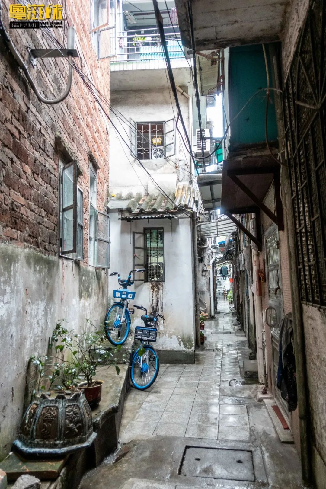 广州海珠区老广美食,这条老街原来藏了这么多宝藏