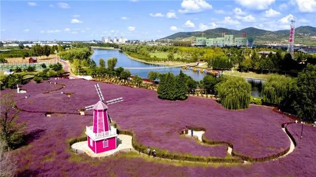 威海海洋公园旅游攻略,双节假期旅游