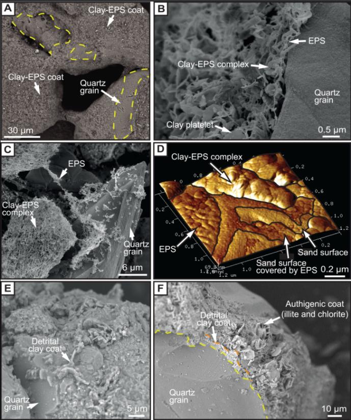 地学前沿讲座,地学前沿英文版