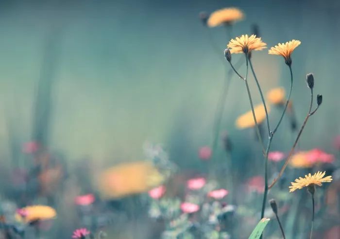 孙静未来10年图片,孙静中科曙光