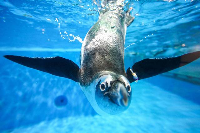 完美错过疫情的三亚亲子假期超全攻略