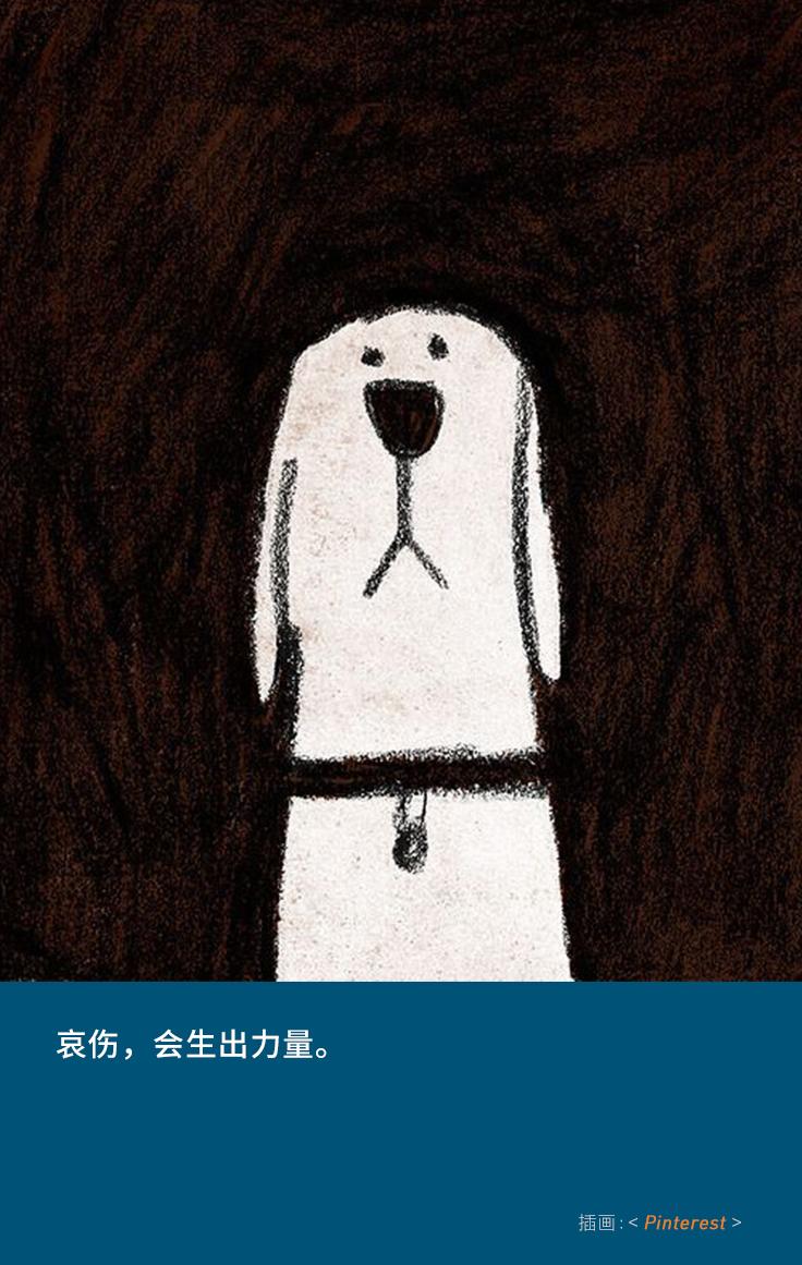 “似乎它从来都没有真正离开过”：和宠物告别的25个时刻