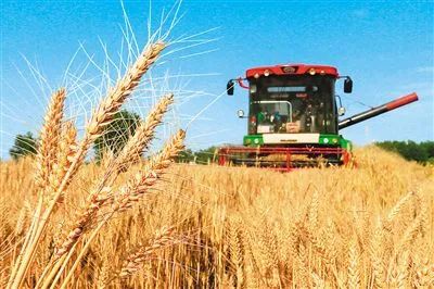 满怀深情厚意助力扶贫,接地气聚人气