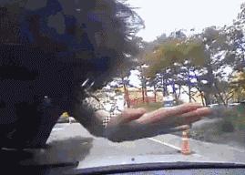 榆林早间新闻,榆林今日新闻最短新消息