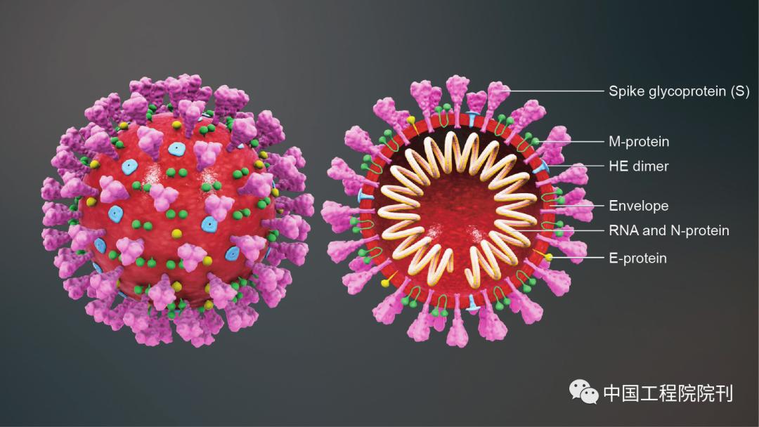 基因编辑婴儿事件伦理分析,未来10年基因编辑技术