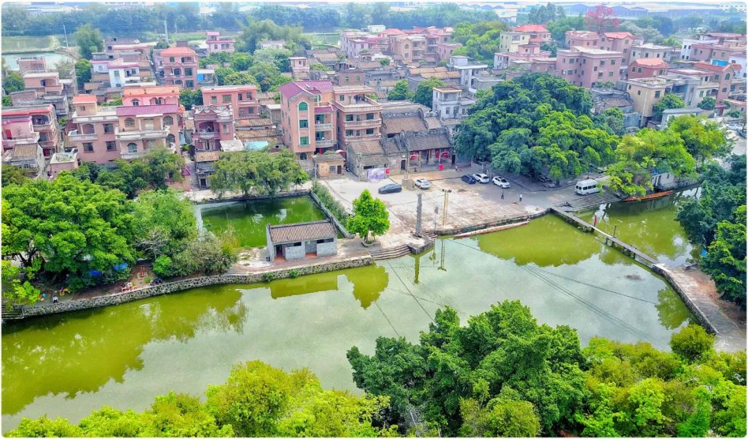 在南海，文化活动好好好好丰富