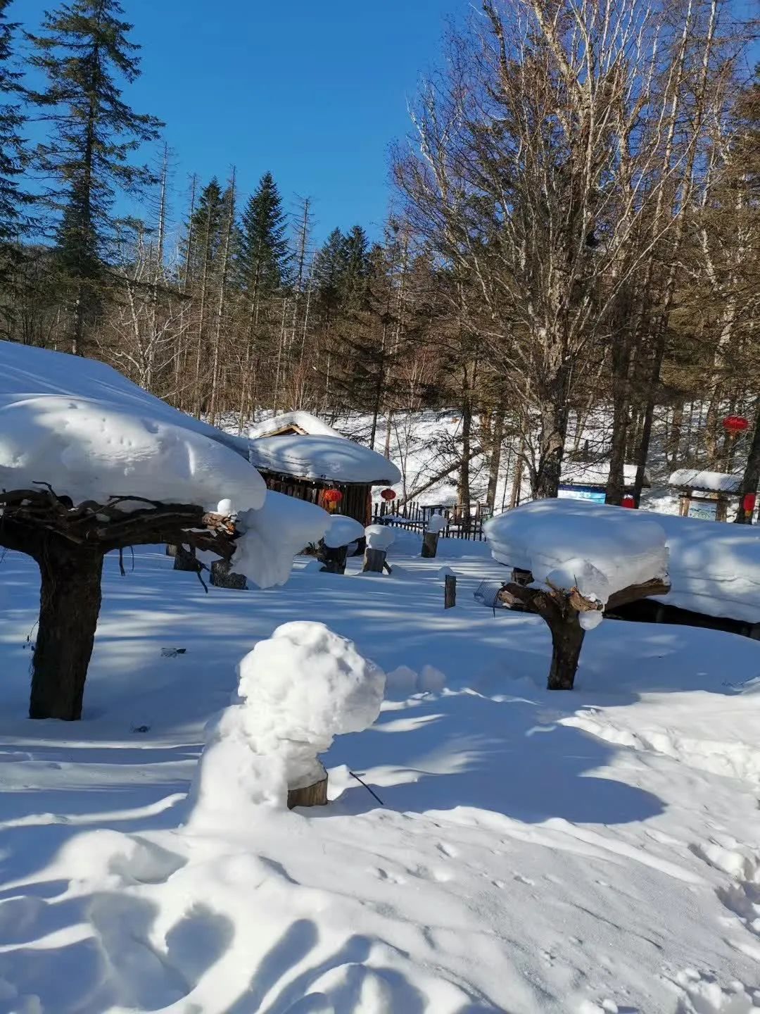 从南昌出发玩转江西路线,从南昌到哪里旅游好玩一点