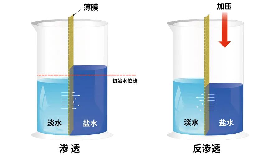 人常喝净水机里的水好吗,常喝净水机里的水对身体好吗