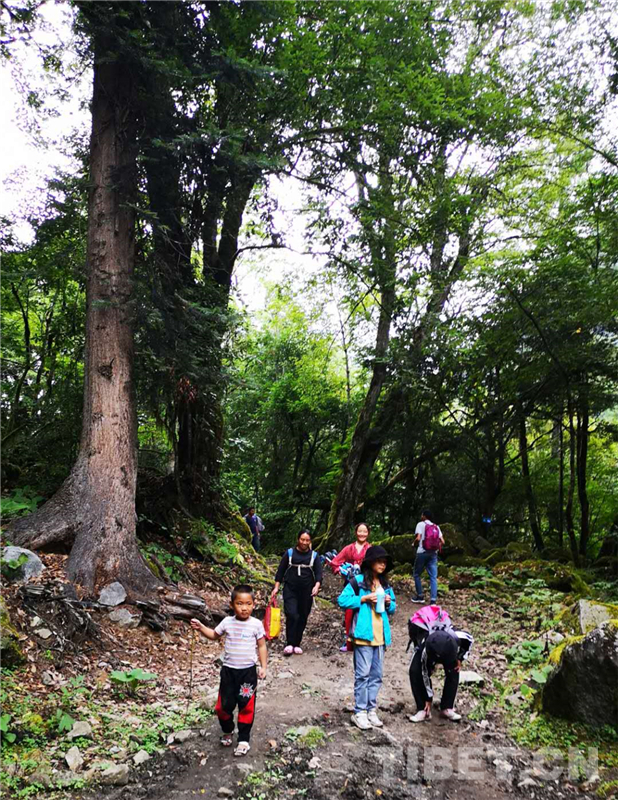 盘点西藏4个最美避世村落,西藏察隅旅游资源探秘