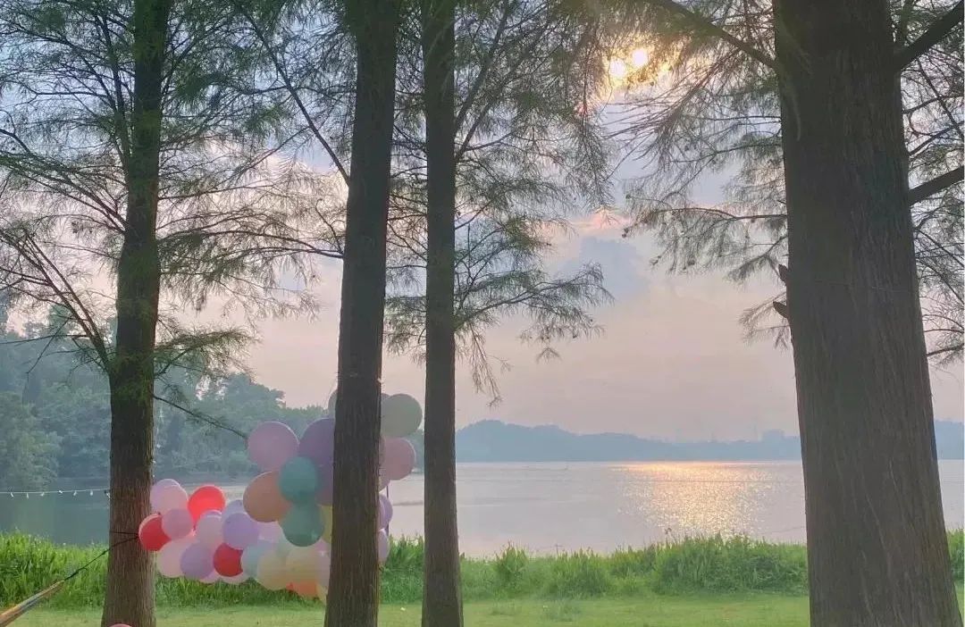 东莞周末带小孩哪里有好玩的地方,东莞又有什么好玩的