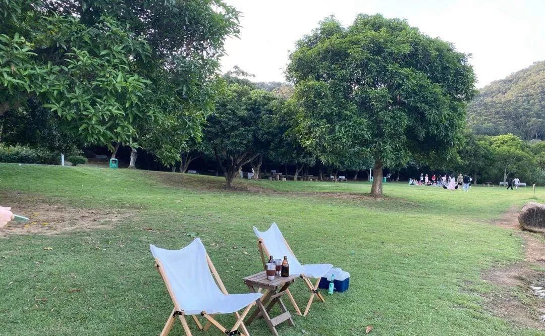 东莞周末带小孩哪里有好玩的地方,东莞又有什么好玩的