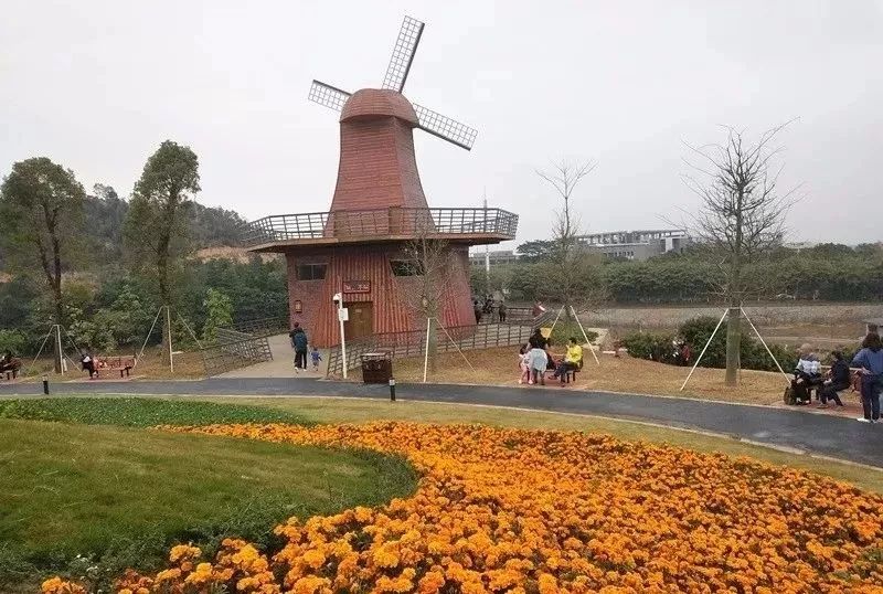 东莞周末带小孩哪里有好玩的地方,东莞又有什么好玩的