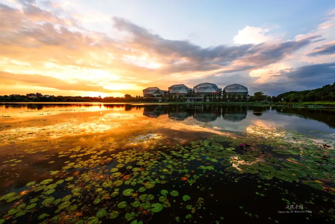 东莞周末带小孩哪里有好玩的地方,东莞又有什么好玩的