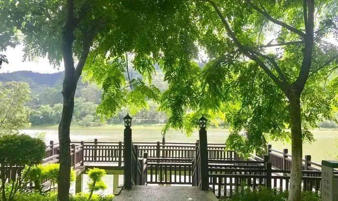 东莞周末带小孩哪里有好玩的地方,东莞又有什么好玩的