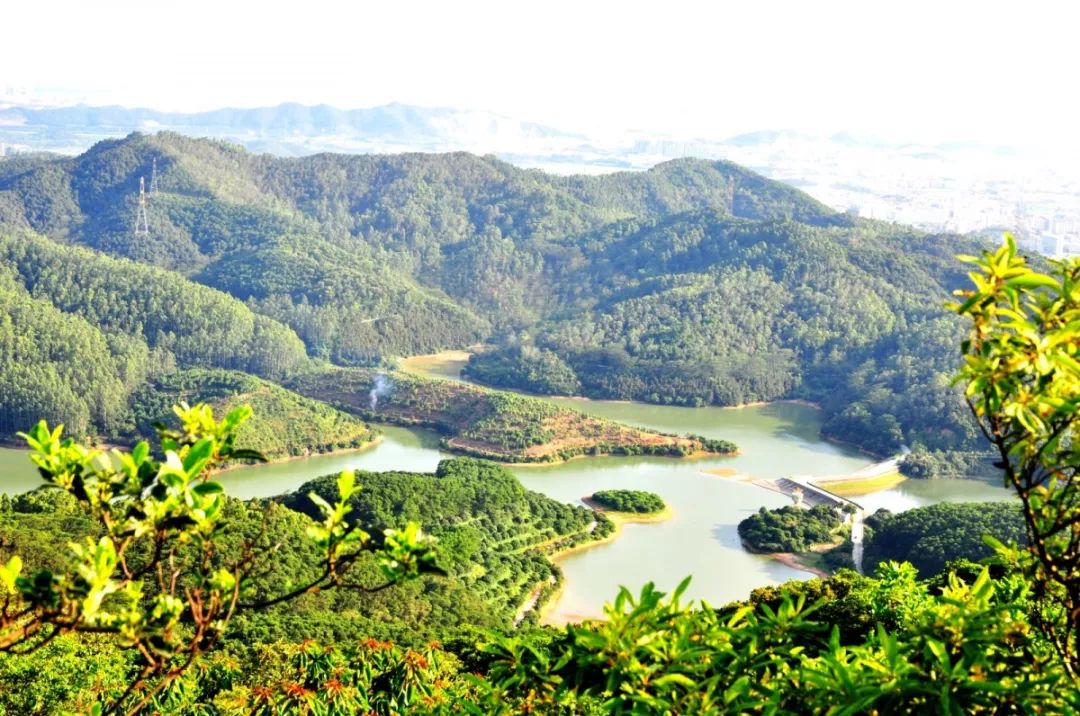 东莞周末带小孩哪里有好玩的地方,东莞又有什么好玩的