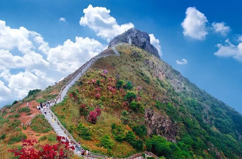 东莞周末带小孩哪里有好玩的地方,东莞又有什么好玩的