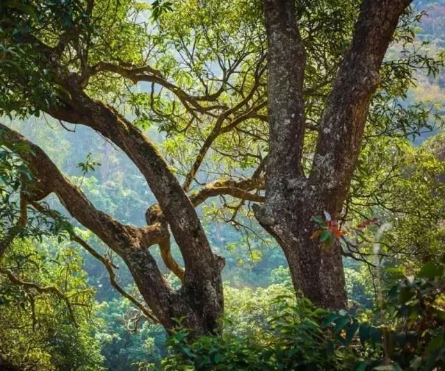 东莞周末带小孩哪里有好玩的地方,东莞又有什么好玩的