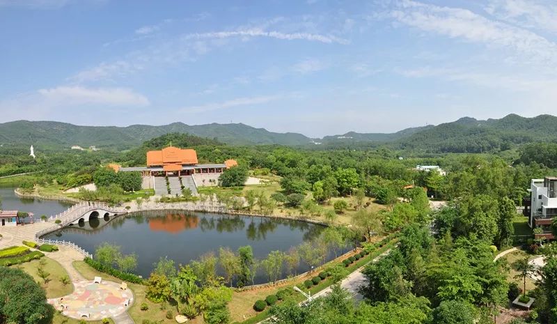 东莞周末带小孩哪里有好玩的地方,东莞又有什么好玩的