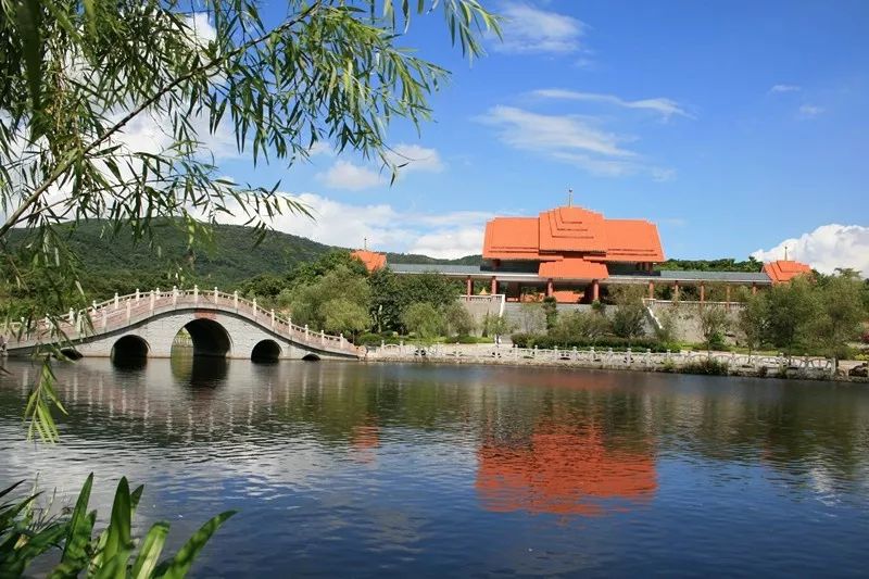 东莞周末带小孩哪里有好玩的地方,东莞又有什么好玩的