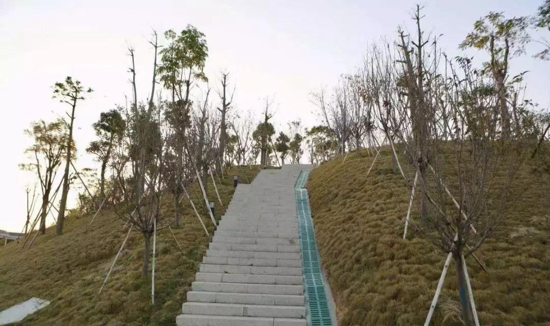 东莞周末带小孩哪里有好玩的地方,东莞又有什么好玩的