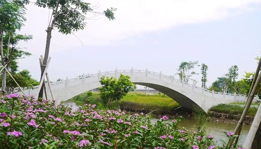 东莞周末带小孩哪里有好玩的地方,东莞又有什么好玩的