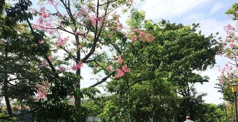 东莞周末带小孩哪里有好玩的地方,东莞又有什么好玩的