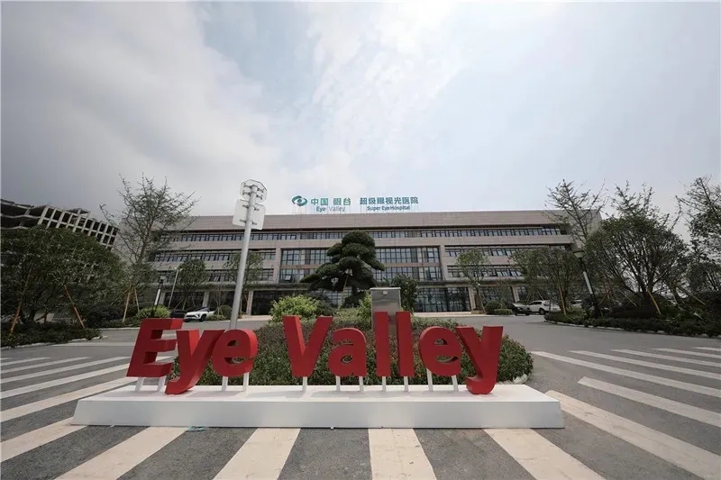 这就是灌篮4,这就是灌篮第四季