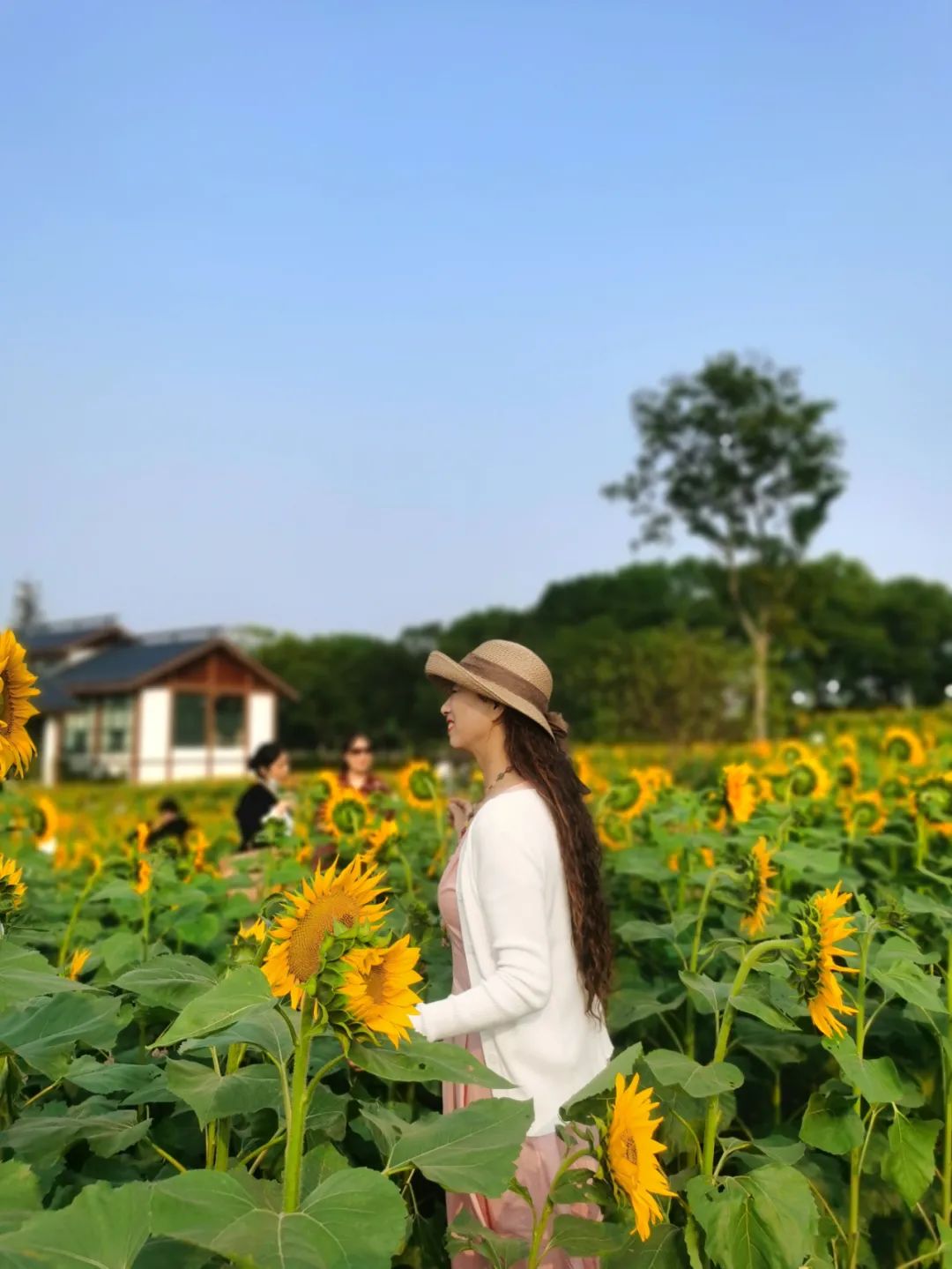 去东湖看花,去东湖看风景