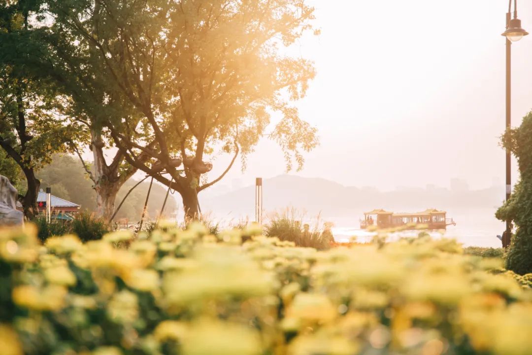 去东湖看花,去东湖看风景