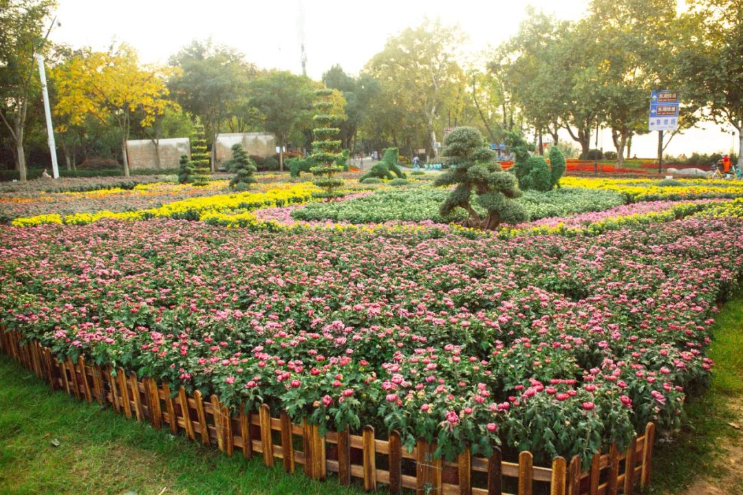 去东湖看花,去东湖看风景