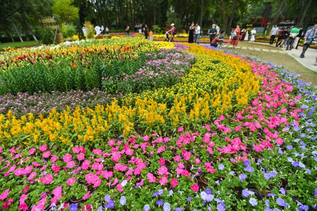 去东湖看花,去东湖看风景