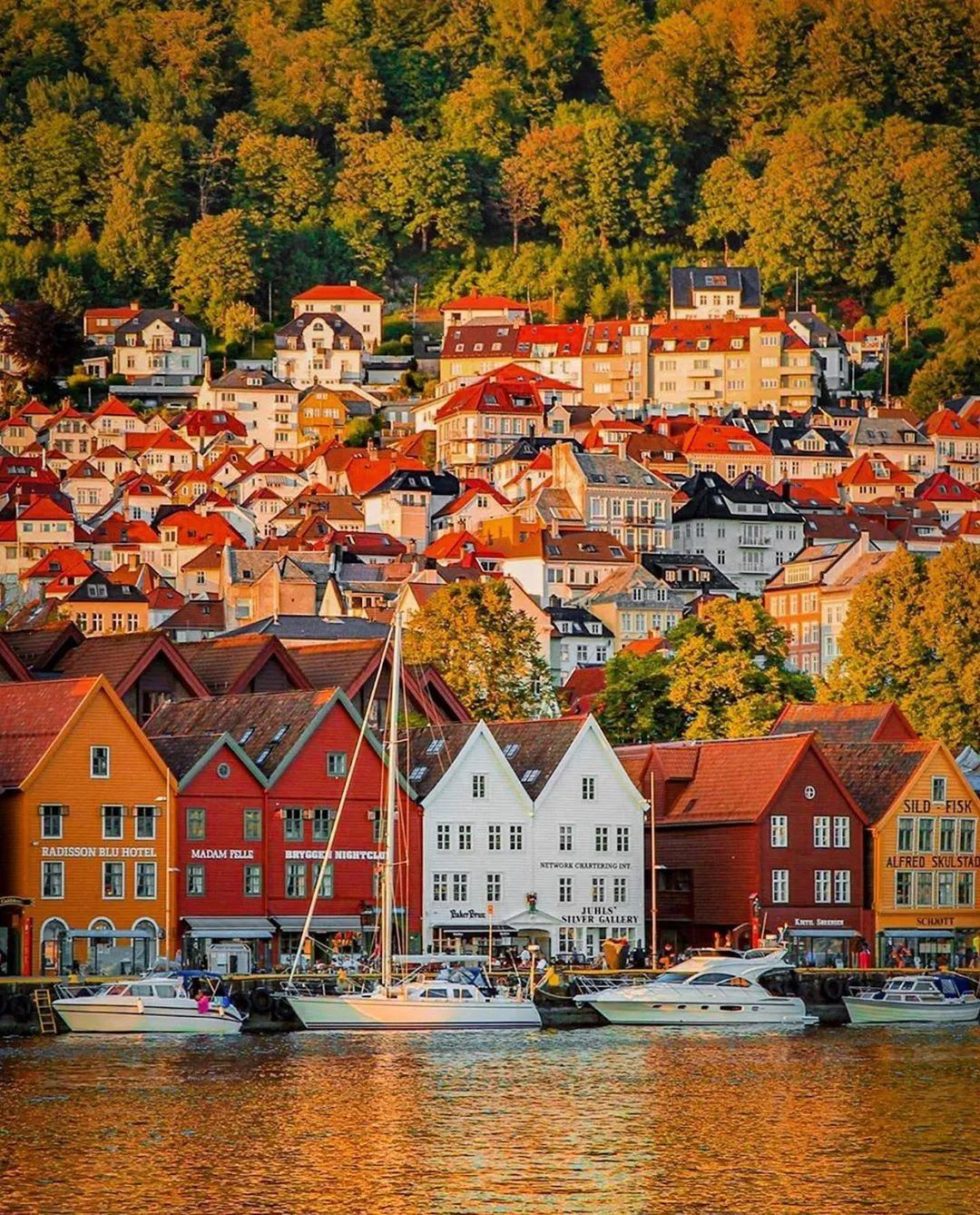 秋天的挪威有多美,挪威最美丽的秋天