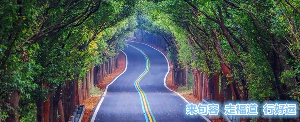 镇江句容公立幼儿园排名,句容市幼儿园排行榜