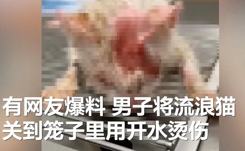 10月21日|新早读！4S店砸坏好零件再维修