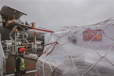 瓯网丨45颗“爱心”的全球接力