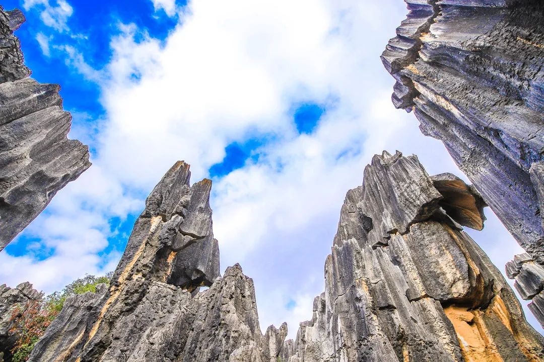 昆明春城秀图片,昆明正宗春城秀