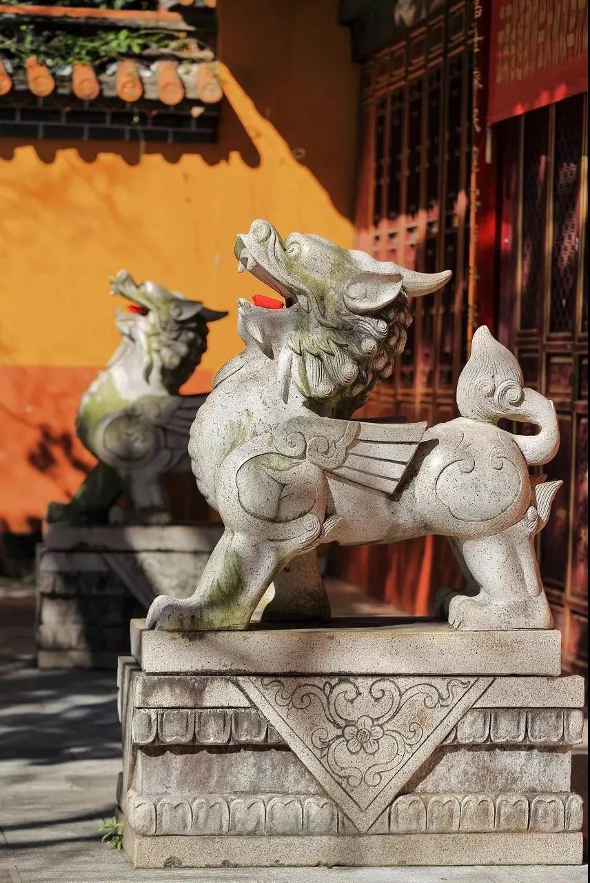 昆明春城秀图片,昆明正宗春城秀