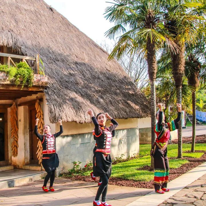 昆明春城秀图片,昆明正宗春城秀