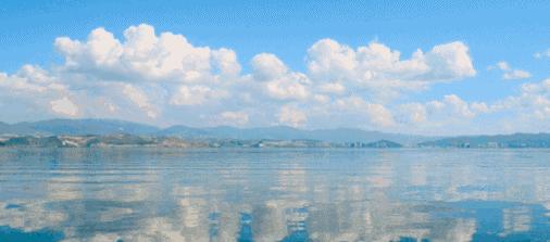 昆明春城秀图片,昆明正宗春城秀