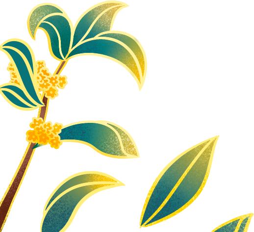 教师怎样设计一堂好课,如何设计一节课的讲课思路