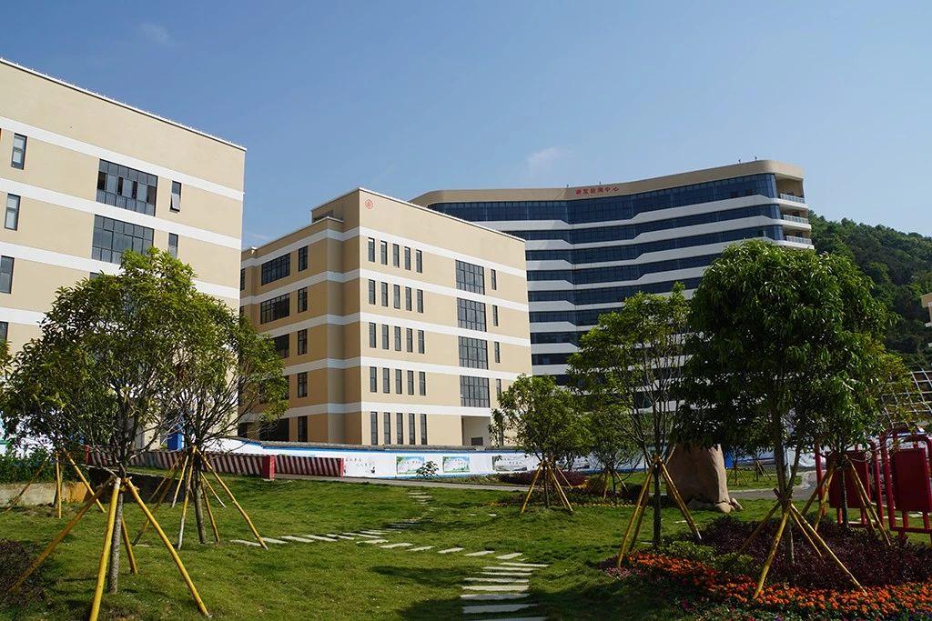 瓯北珠岙村：产业兴旺、日子红火！“温州童装第一村”的幸福小康生活