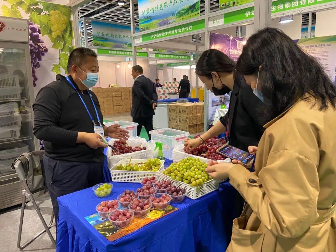 伊宁市特色馕包肉,伊犁最好吃的烤馕