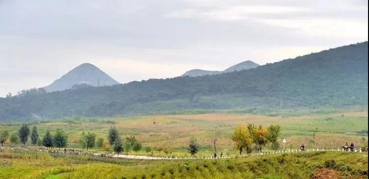 这是一个没有文盲的国家！泉州摄影师探秘实拍“朝鲜表情”