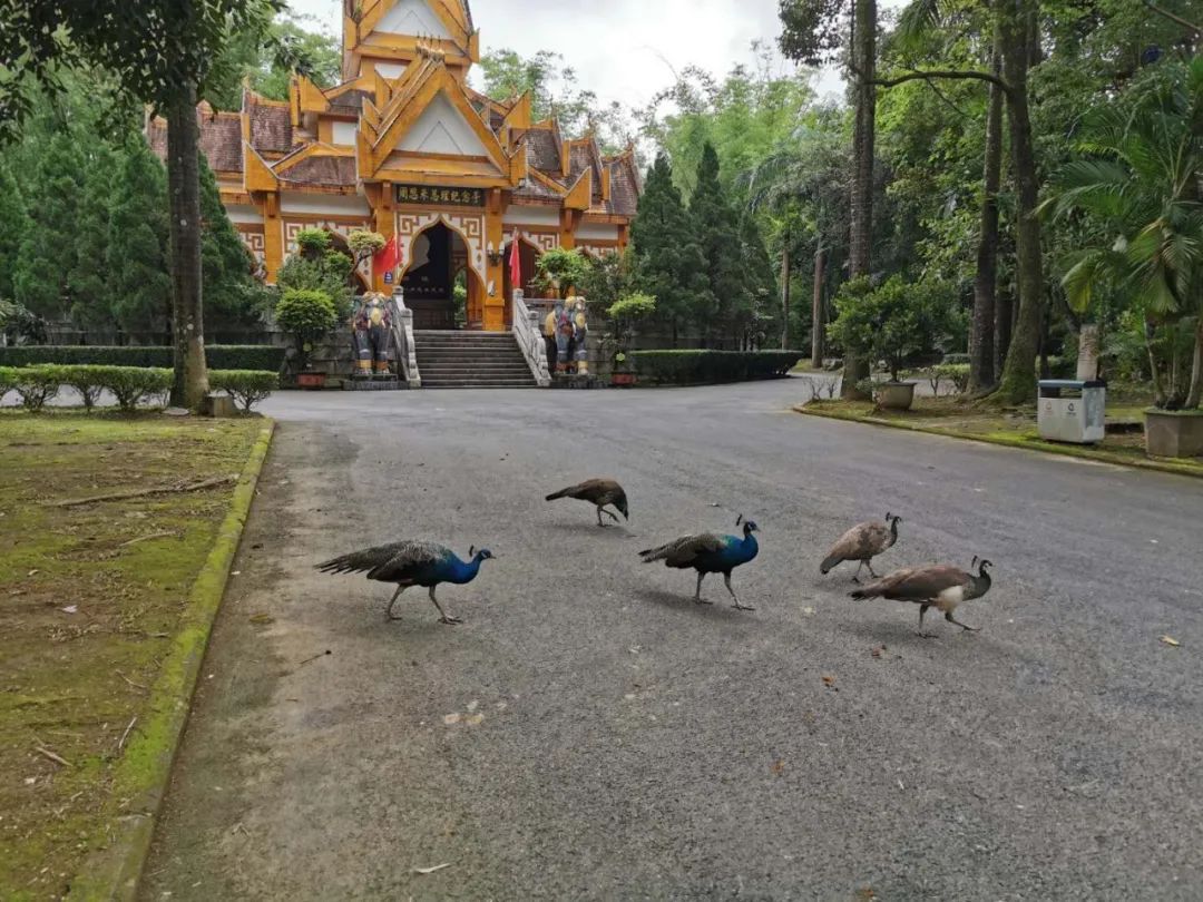 时间定好了,时间定在上周
