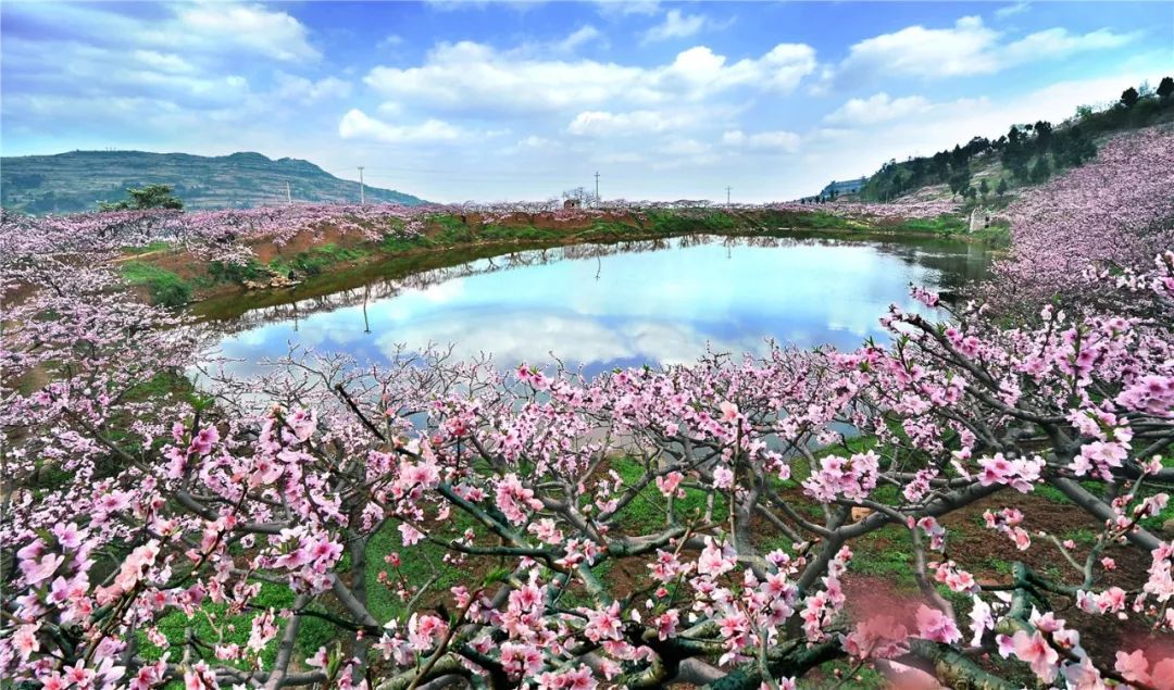 成都100种美景图片,航拍中国成都十大风景区