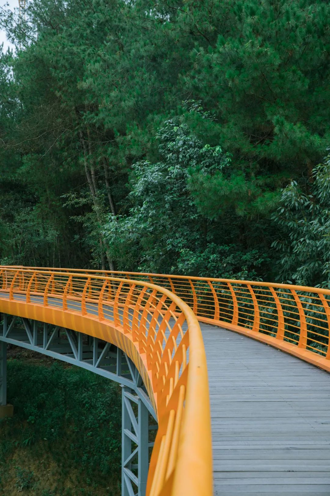 成都100种美景图片,航拍中国成都十大风景区