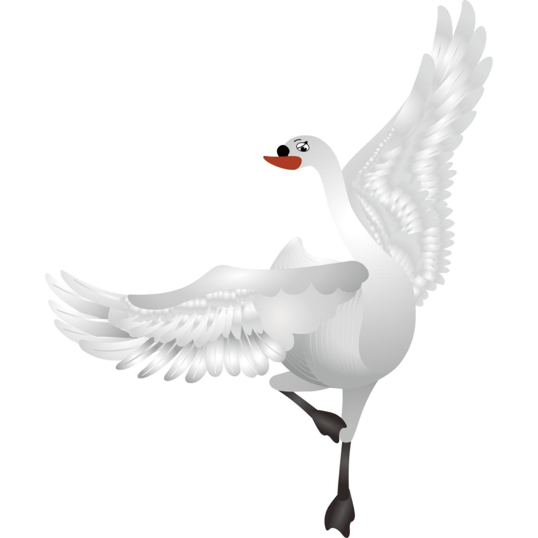 最值得推荐的演出,用运动活力开启元气满满的一天