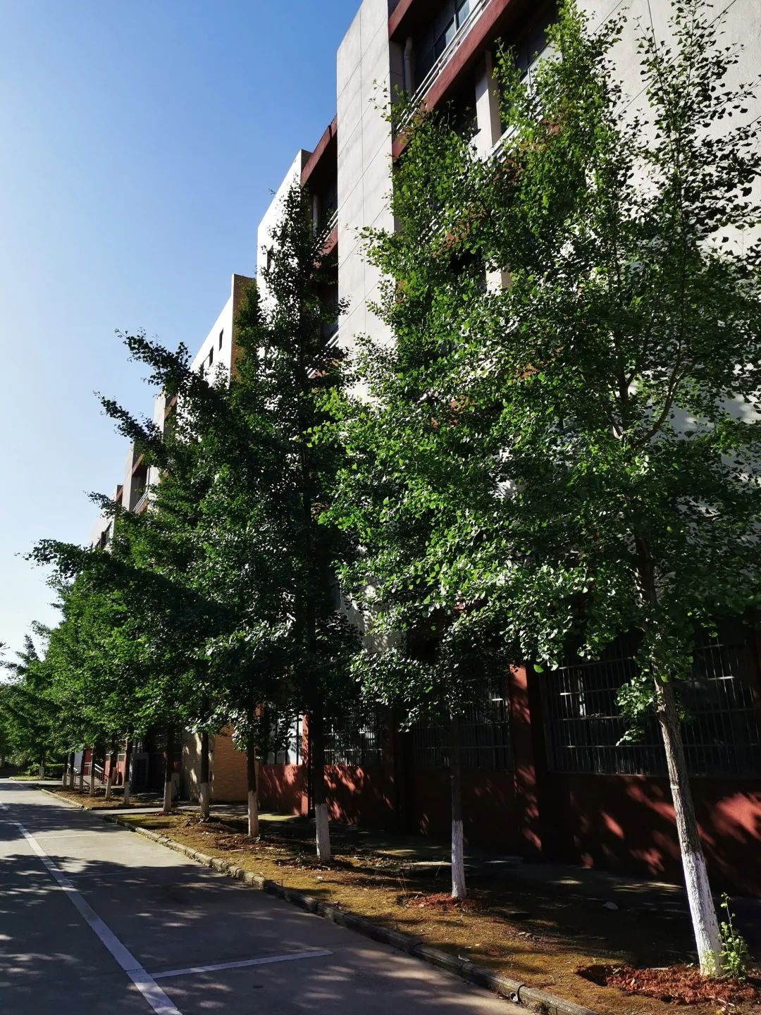 来吧！带你畅游这诗意工贸|文末有重磅福利