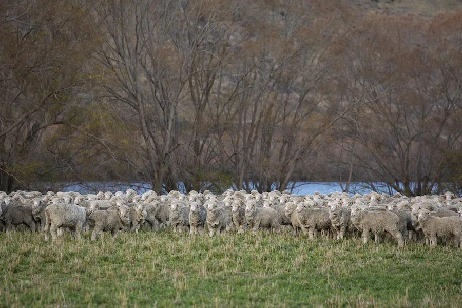 衣服也能拯救地球？先看看这份“责纫”宣言